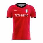 Maillot sublimé C015